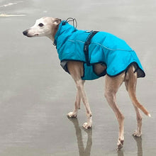 Load image into Gallery viewer, tempest sighthound coat. for use on the coldest winter days
