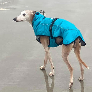 tempest sighthound coat. for use on the coldest winter days