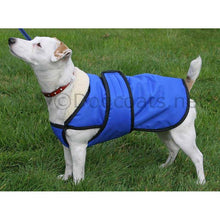 Load image into Gallery viewer, dog coat with chest protector uk made by drydogs.co.uk
