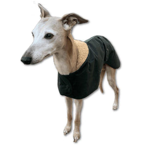 greyhound and whippet wax barbour waterproof coats in green