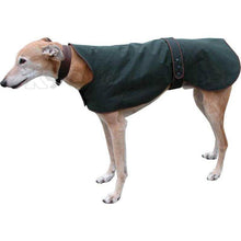 Load image into Gallery viewer, wax whippet coats. greyhound barbour wax jacket
