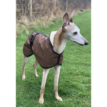 Load image into Gallery viewer, whippet dog jacket uk made fawn whippet in field with ears up
