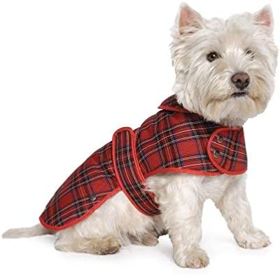 westie in red tartan dog coat with harness hole