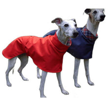 Load image into Gallery viewer, whippet and greyhound coat. Waterproof with high-collar snood. Cotton lined
