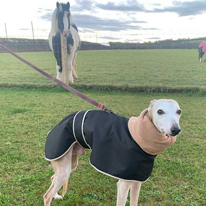 best greyhound coat for use with a harness underneath