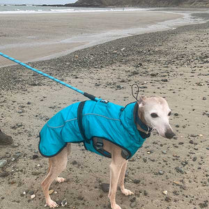 lurcher dog coat with built in harness hole