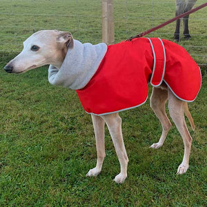 Red whippet coat with harness hole opening for lead