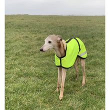 Load image into Gallery viewer, hi viz whippet coat jacket with hood and yellow high viz waterproof material
