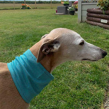 Load image into Gallery viewer, Whippet cooling bandana
