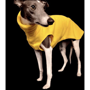 whippet, greyhound, iggy, house/kennel coat fleece sweater yellow