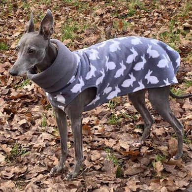 greyhound pyjamas, whippet pyjamas
