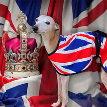 Load image into Gallery viewer, union jack whippet coat
