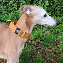Load image into Gallery viewer, how to stop whippets pulling - martingale collar
