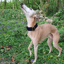 Load image into Gallery viewer, how to stop greyhound pulling - martingale collar
