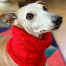 Load image into Gallery viewer, woollen whippet scarf - snood that slips over the head and can be pulled up to keep the ears warm
