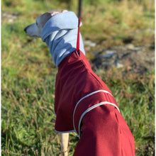 Load image into Gallery viewer, snood hood greyhound whippet coat with hole for lead. waterproof and windproof, ideal for winter
