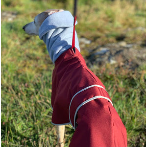 snood hood greyhound whippet coat with hole for lead. waterproof and windproof, ideal for winter