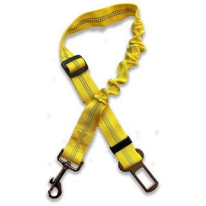 Yellow dog leash to car seatbelt fastener.