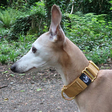 Load image into Gallery viewer, what is the best collar for my sighthound - martingale
